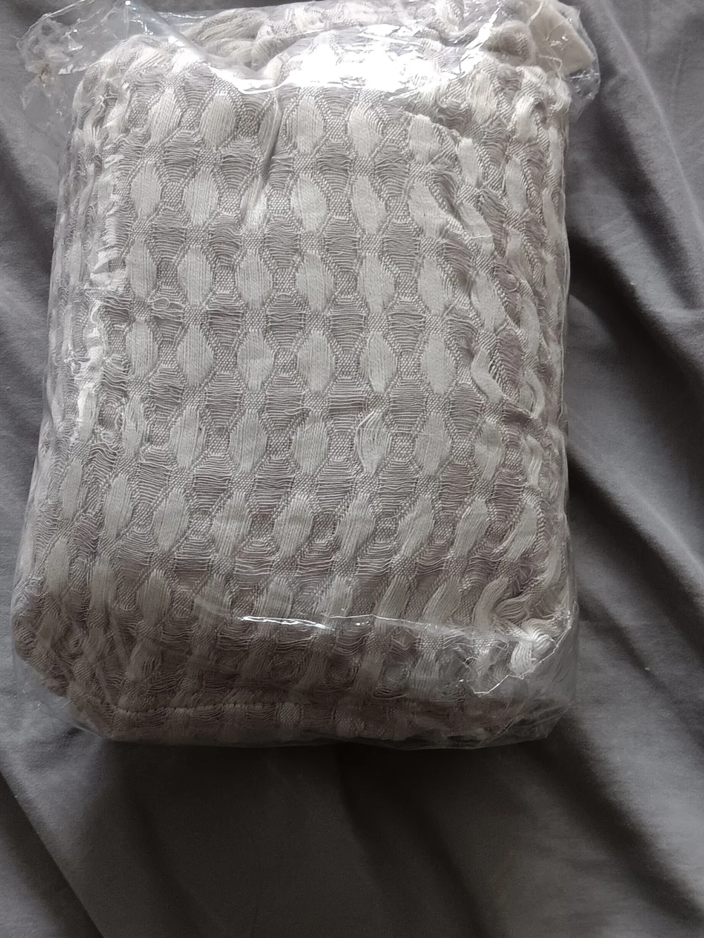 Urban Outfitters White Cotton Care-Label Shams. Standard Pillow Size